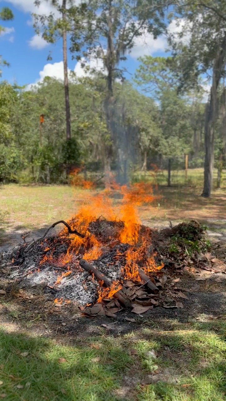 5A445519-4A2E-455D-A80F-FDC940DCA06C.poster